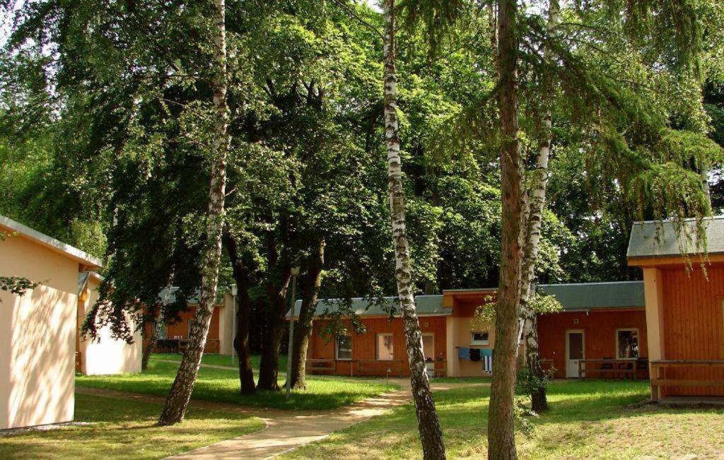 Das Hudewald Hotel & Resort Ückeritz Eksteriør billede
